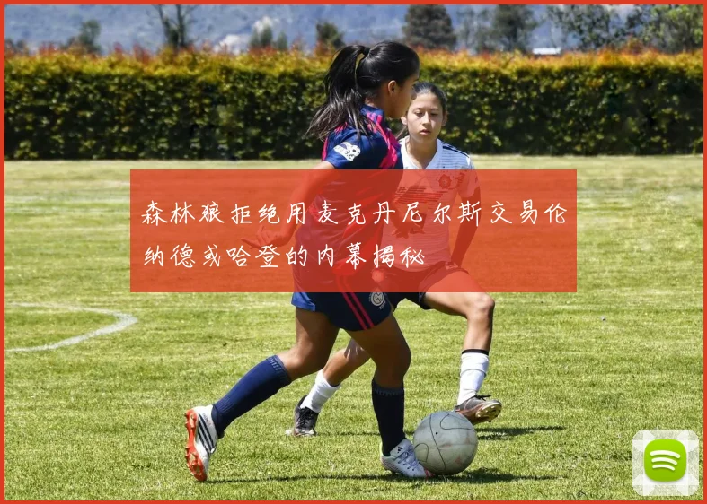 森林狼拒绝用麦克丹尼尔斯交易伦纳德或哈登的内幕揭秘